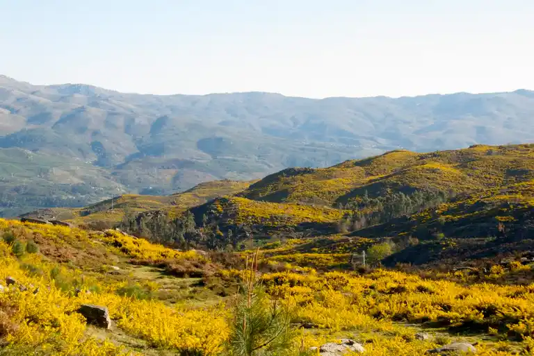 Parque Nacional da Penêda Gerês